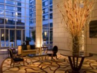 Hotel Park Hyatt Mendoza- Lobby