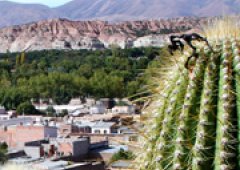Salta y Jujuy