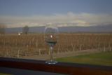 Vineyards